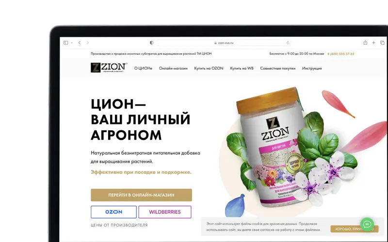 Интерфейс проекта Zion